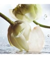 Zdjęcie produktu 2 z 5, BVLGARI Man Woda perfumowana