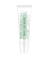 Produktbild 1 von 5, Mario Badescu Mint Lippenbalsam