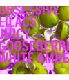 Zdjęcie produktu 4 z 4, SHAY & BLUE Lilacs and Gooseberries Woda perfumowana