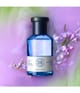 Zdjęcie produktu 3 z 4, SHAY & BLUE Lilacs and Gooseberries Woda perfumowana