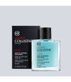 Produktbild 3 von 4, Collistar Man After Shave Lotion