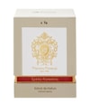 Produktbild 2 von 3, Tiziana Terenzi Spirito Fiorentino Parfum