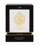 Tiziana Terenzi Tyrenum Parfum 100 ml 8016741892653 pack-shot_de