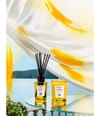 Produktbild 3 von 4, Acqua di Parma Room Diffuser Raumduft