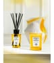 Zdjęcie produktu 3 z 5, Acqua di Parma Home Kollektion Świeca zapachowa