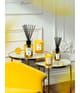 Zdjęcie produktu 5 z 5, Acqua di Parma Home Kollektion Świeca zapachowa