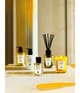 Produktbild 4 von 5, Acqua di Parma Grazie Raumduft