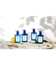 Produktbild 4 von 4, Acqua di Parma Blu Mediterraneo Duschgel