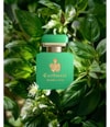 Produktbild 3 av 4, Carthusia Intenso di Basilico Extrait de Parfum