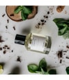 Produktbillede 3 af 3, Laboratorio Olfattivo Cozumel Eau de Parfum