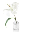 Produktbild 3 von 3, Laboratorio Olfattivo MyLo Eau de Parfum