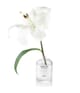 Produktbillede 3 af 3, Laboratorio Olfattivo MyLo Eau de Parfum