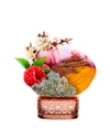 Produktbillede 5 af 6, THoO Klem Garden Collection Eau de Parfum