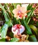 Productafbeelding 6 van 6, THoO Klem Garden Collection Eau de Parfum