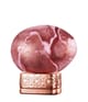 Immagine prodotto 1 di 6, THoO Klem Garden Collection Eau de Parfum
