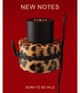 Zdjęcie produktu 5 z 5, New Notes Felina Extrait de Parfum
