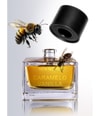 Zdjęcie produktu 5 z 5, New Notes Caramelo Vanilla Perfumy