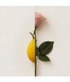 Produktbild 3 von 4, New Notes Rosa Limone Extrait de Parfum