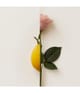 Produktbild 3 von 4, New Notes Rosa Limone Extrait de Parfum