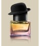 Produktbild 3 von 4, New Notes Musk Complexity Extrait de Parfum