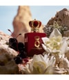 Produktbild 3 von 6, Dolce&Gabbana Q by Dolce&Gabbana Parfum