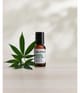 Produktbild 2 von 3, BULLFROG Anti-stress Augenserum