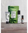 Produktbild 2 von 2, BULLFROG Stress Free Day Kit Gesichtspflegeset