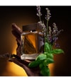 Zdjęcie produktu 3 z 5, Dolce&Gabbana The One for Men Woda toaletowa