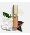 Produktbild 6 von 6, Dolce&Gabbana Everlast Concealer