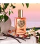 Produktbild 3 von 6, Dolce&Gabbana Devotion Eau de Parfum