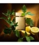 Produktbild 3 von 6, Dolce&Gabbana The One Eau de Parfum