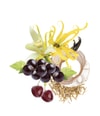 Produktbild 6 von 6, Trussardi Ruby Red Eau de Parfum