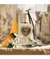 Produktbillede 3 af 6, Dolce&Gabbana Your Devotion Eau de Parfum