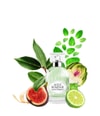 Produktbild 3 von 4, Laura Biagiotti Aqve Romane Eau de Toilette