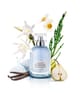 Laura Biagiotti Aqve Romane Eau de Toilette 100 ml 8059378004808 visual-shot_de