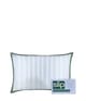 Image du produit 1 sur 5, Slip Pure Silk Oreiller