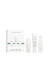 Produktbild 3 von 3, Innersense Organic Beauty Travel Trio Haarpflegeset