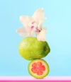 Produktbild 6 von 6, Sol de Janeiro Body Badalada Körpercreme