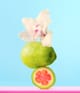 Produktbild 6 von 6, Sol de Janeiro Body Badalada Körpercreme