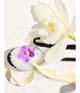 Produktbild 6 von 6, Sol de Janeiro Cheirosa 59 Deodorant Stick