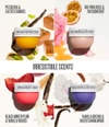 Produktbillede 6 af 6, Sol de Janeiro Body Your Way Kropsplejesæt
