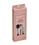 Sigma Beauty Cream Complexion Brush Set Sminkborstset 1 st 811425039106 base-shot_se