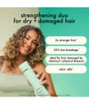 Produktbild 3 von 6, Amika The Kure Haarshampoo