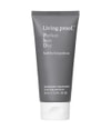 Produktbild 1 von 6, Living Proof Perfect hair Day Leave-in-Treatment