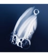 Produktbild 2 von 6, Living Proof Perfect hair Day Haarshampoo