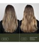 Produktbild 3 von 6, Living Proof Perfect hair Day Conditioner
