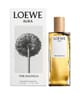 LOEWE Aura Eau de Parfum 50 ml 8426017064071 pack-shot_de