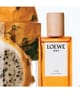 Produktbild 5 von 6, LOEWE Solo Eau de Toilette