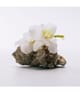 LOEWE A Mi Aire Eau de Toilette 15 ml 8426017073837 detail-shot_de