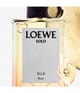 Produktbild 4 von 5, LOEWE Solo Eau de Parfum